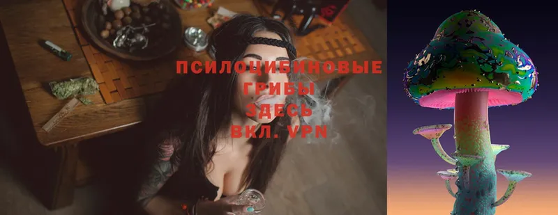 Галлюциногенные грибы MAGIC MUSHROOMS  где можно купить   Белозерск 